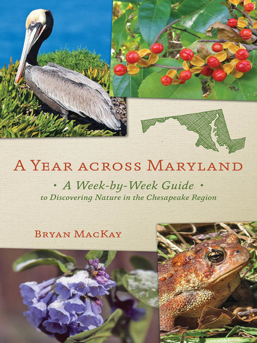 Title details for A Year across Maryland by Bryan MacKay - Available